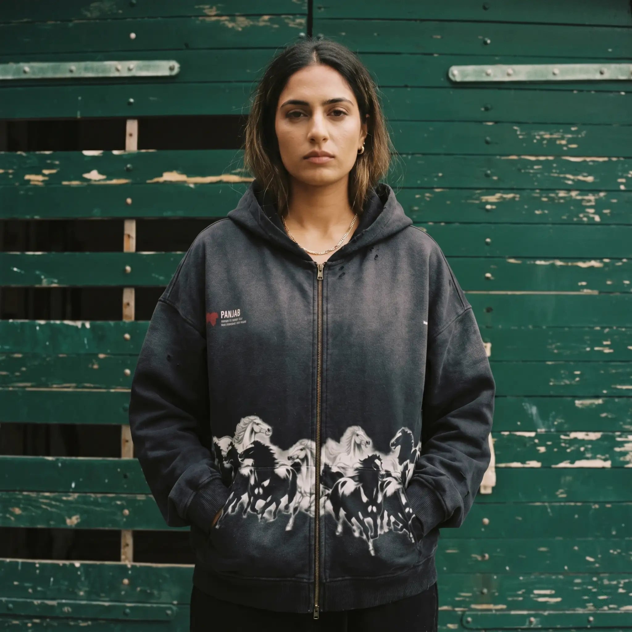 Sovereign Panjab Sun Faded Distressed Full-Zip Hoodie